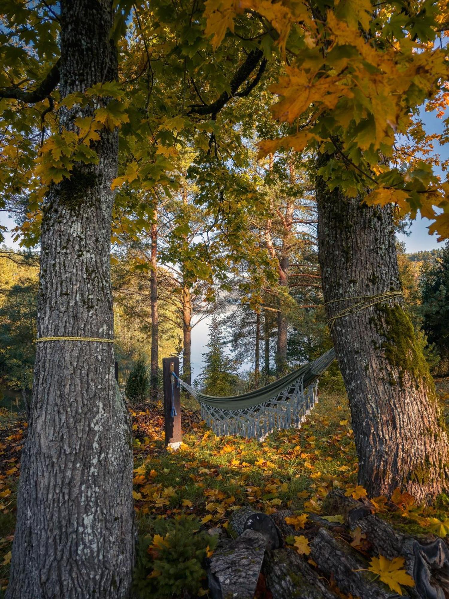 Dom Pod Klonem Na Kaszubach Villa Koscierzyna Exterior photo